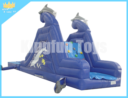 Small DoLphin water slide