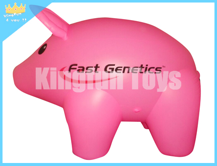 Inflatable pig model