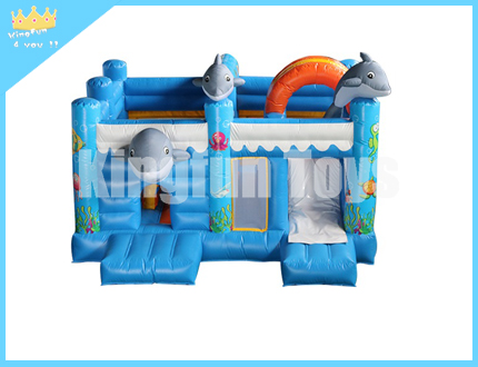 Dolphin castle with slide