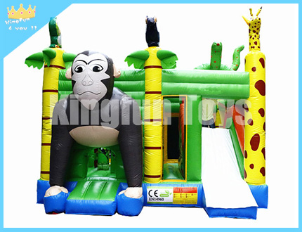 Money theme bounce house with slide
